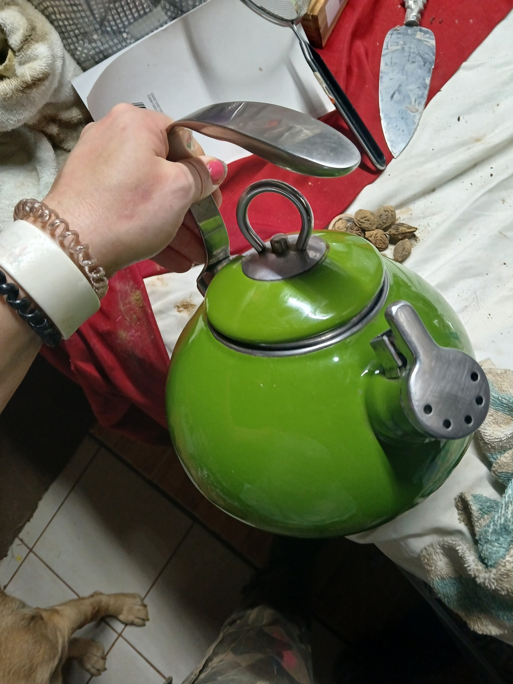 Tivoli Lime Green Stainless Steel Whistling Teakettle